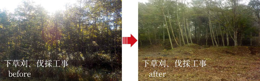 before-after_02